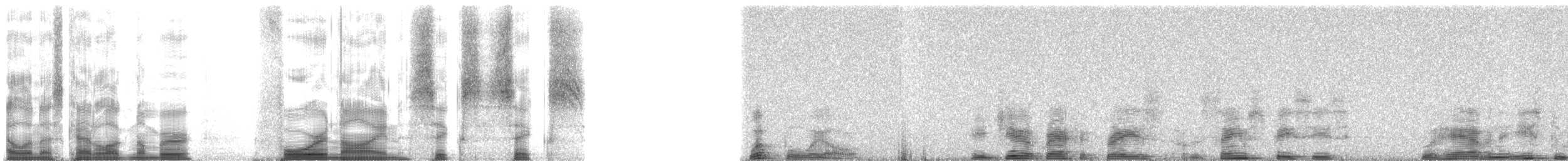 Mexican Whip-poor-will - ML4966