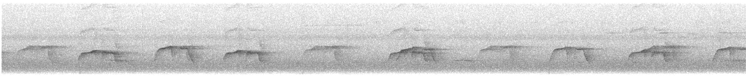 Мурав’янка-куцохвіст цяткована - ML496668141