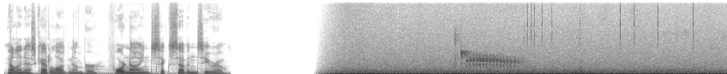 svartbuskvarsler (fuelleborni) - ML49670