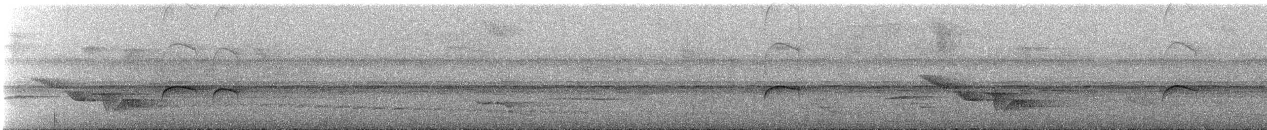 Тиран-карлик жовточеревий - ML496755051