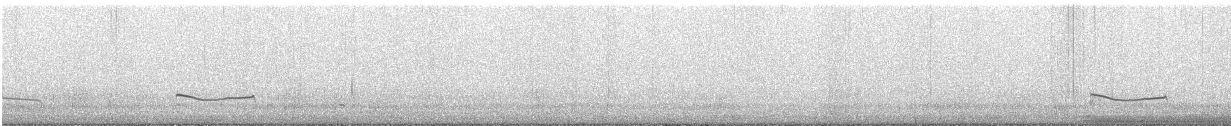 Pluvier argenté - ML496768371