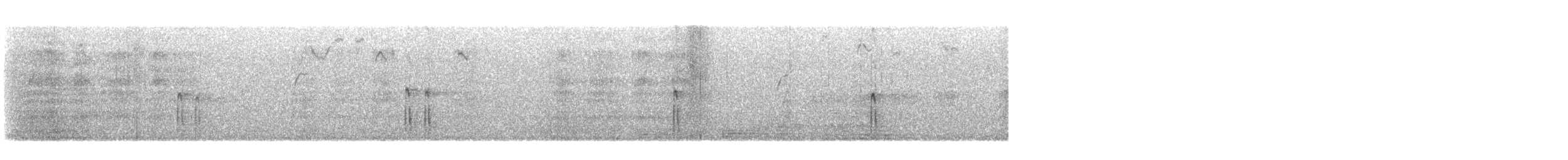 strakapoud bělohlavý - ML496822861