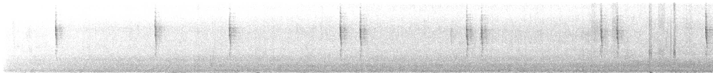 Troglodyte de Baird - ML496870521