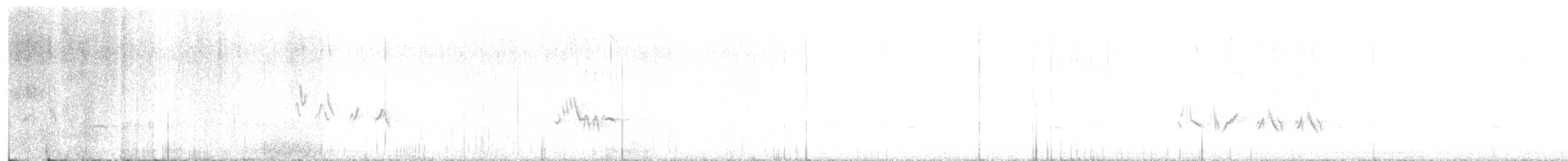 gråsolitærtrost - ML496912141