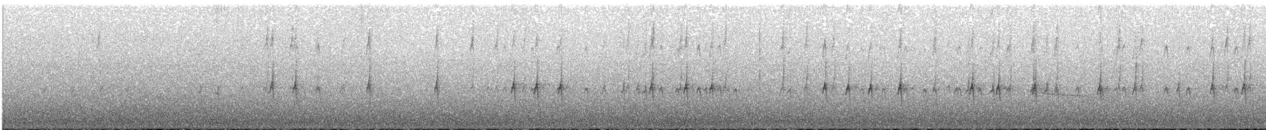 Mokokerra (12 mota) - ML496913681