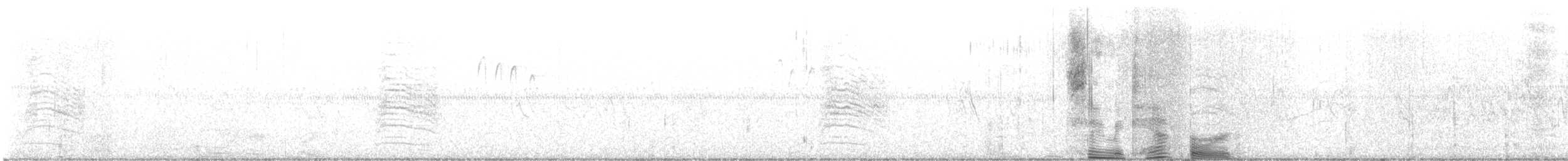 Gray Catbird - ML496963661