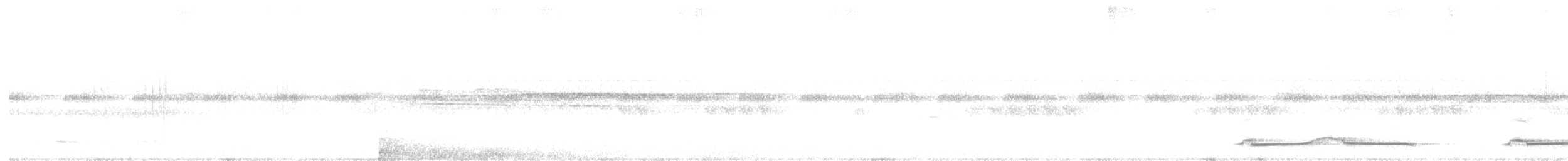 sova srílanská - ML497015851
