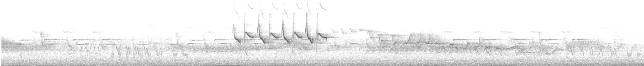 svartmeis (ater gr.) - ML497034031