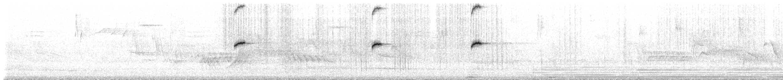 Исполинский колибри - ML497049711