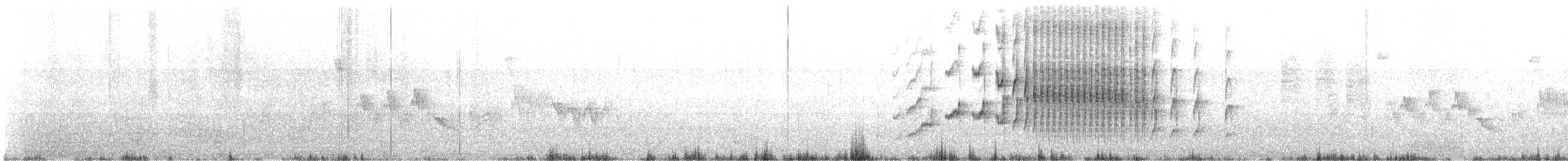 Патагонская трясохвостка - ML497089921