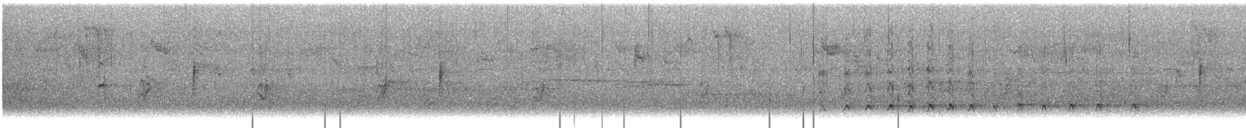 Yellow-rumped Warbler (Myrtle) - ML497098811