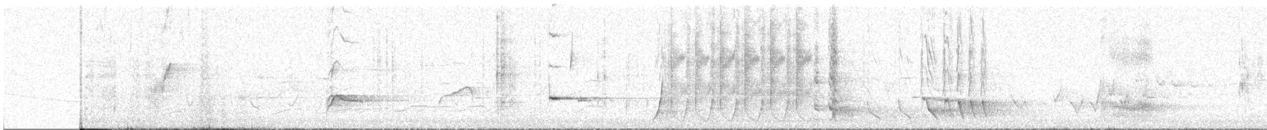 Superb Lyrebird - ML497105181