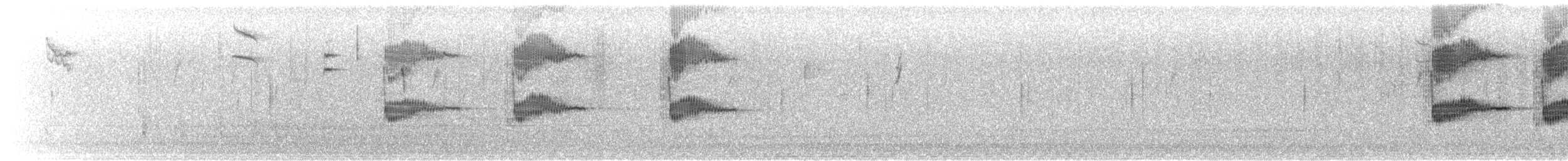 Boat-tailed Grackle (torreyi/alabamensis) - ML497128351