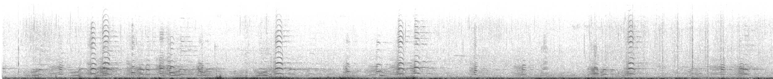 Bernache de Hutchins - ML497174681