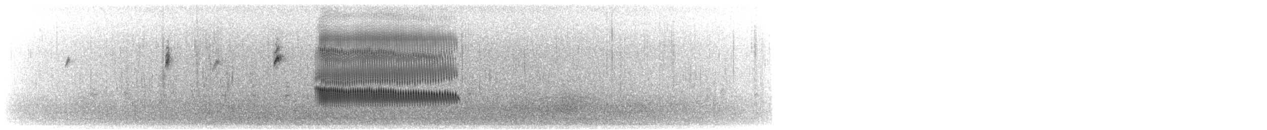 vlhovec člunoocasý (ssp. torreyi/alabamensis) - ML497182311