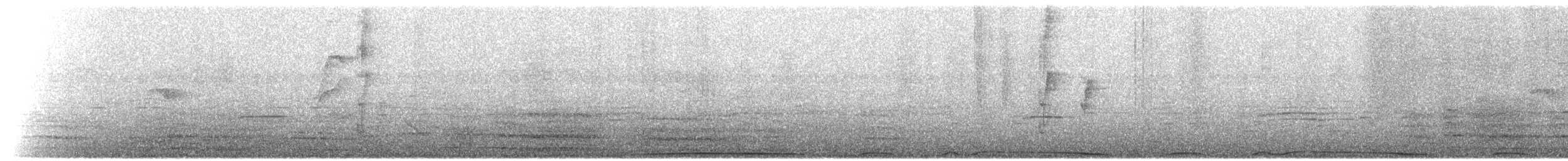 holub peruánský - ML497188481