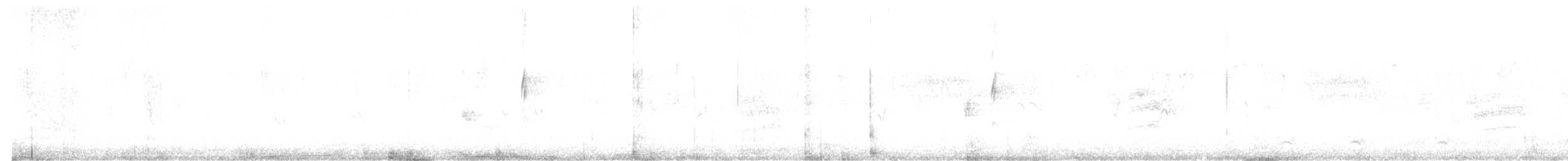 svarthodetykknebb - ML497236021