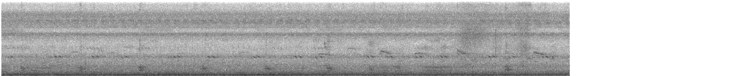 אנפית סוף הודית - ML497259741