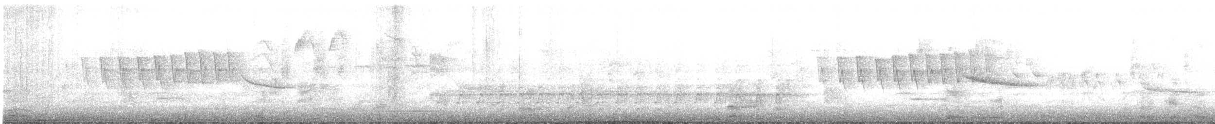 Paruline à calotte noire - ML497323641