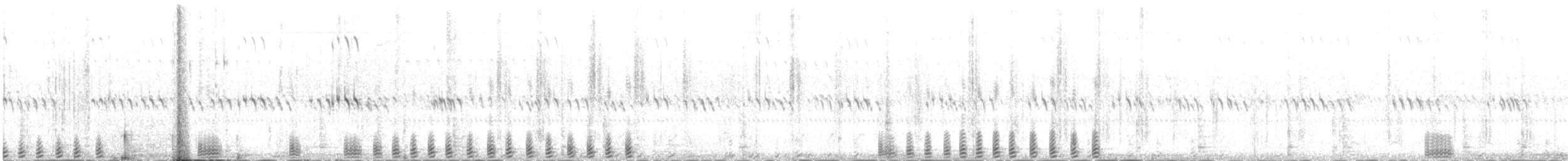 Sharp-tailed Grouse - ML497382661
