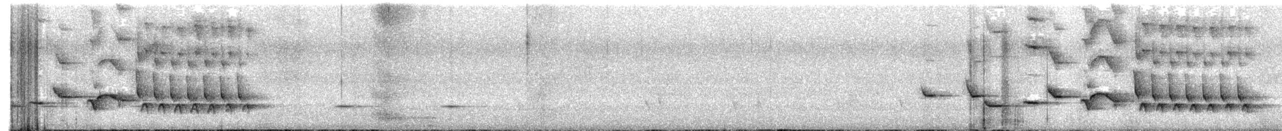 svartleggtykknebb - ML497391961