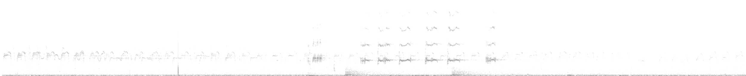 Western Grebe - ML497446131