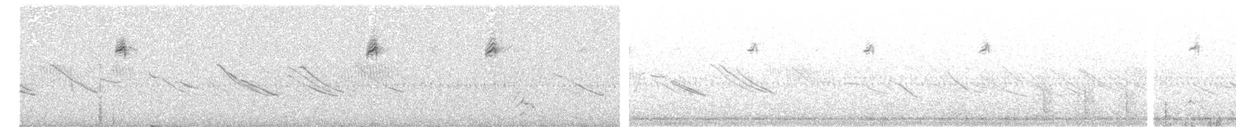 Короткохвостая диука - ML497461311