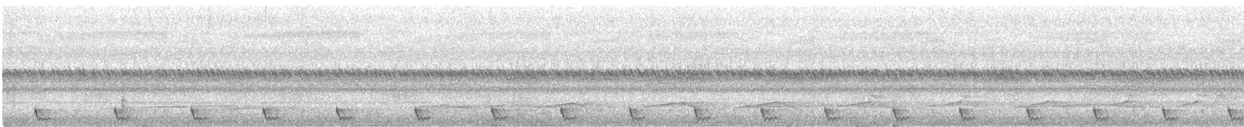 Large-tailed Nightjar - ML497492961