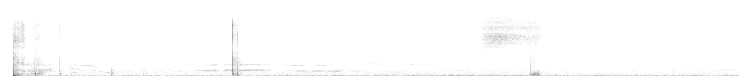 Black-tailed Gnatcatcher - ML497531521