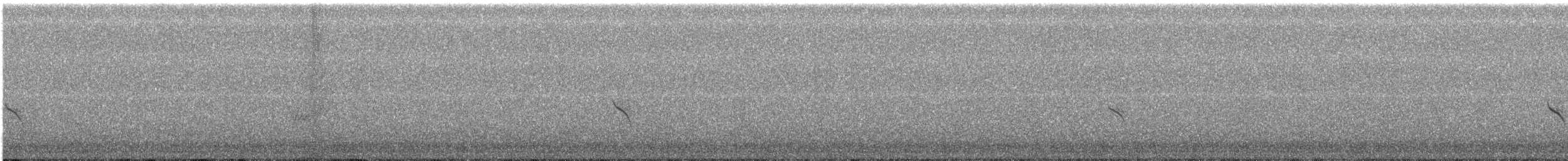 Evening Grosbeak (type 1) - ML497621611
