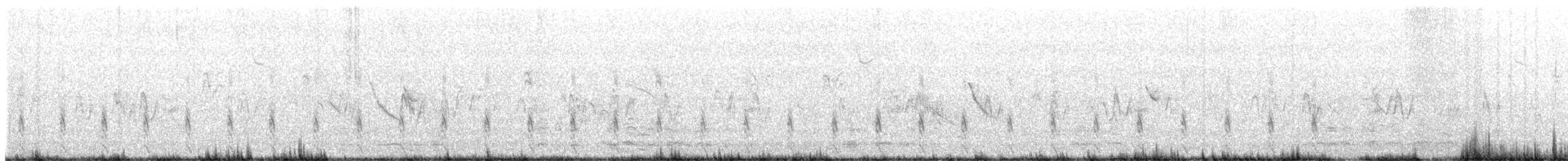 Magellanic Snipe - ML497634481