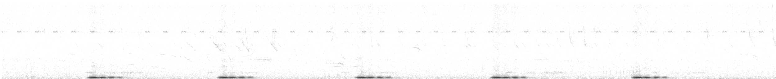 Southern Ground-Hornbill - ML497645601