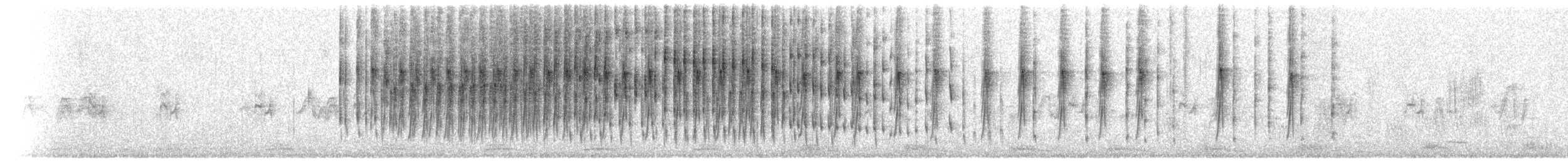 flekkbryststifthale (undescribed La Libertad form) - ML497701601