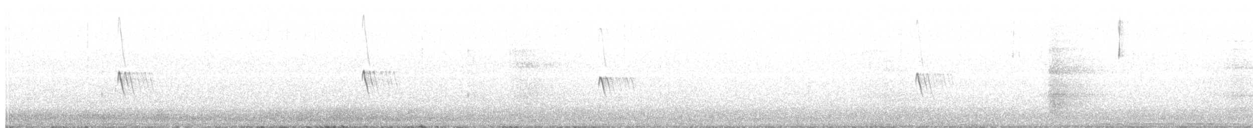 Black Phoebe (Northern) - ML497715861