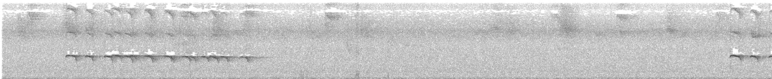 Zeledon Karıncakuşu - ML49773271