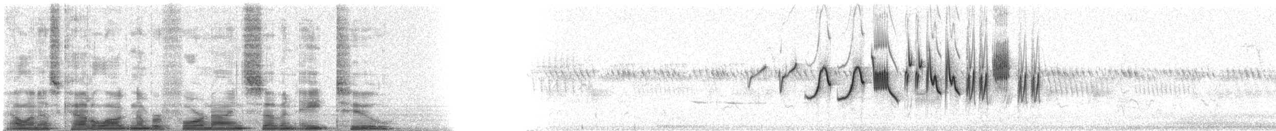 Lazuli Bunting - ML49782