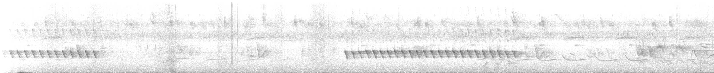 Microbate à long bec - ML497822521