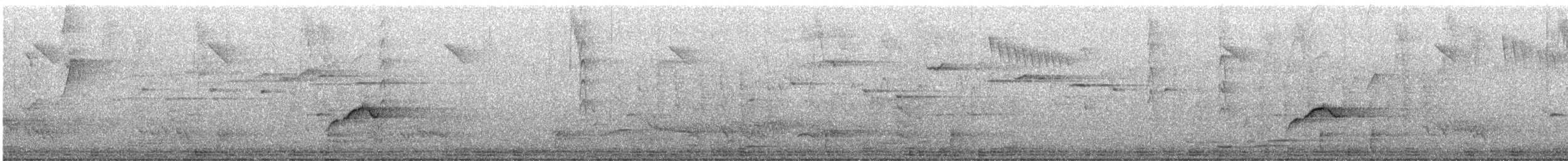 Stutzschnabel - ML497826571