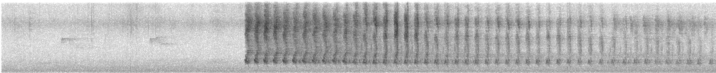 furuskrike (stelleri gr.) - ML497913601