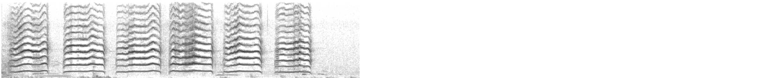 Шилоклювый дятел (auratus/luteus) - ML497938011
