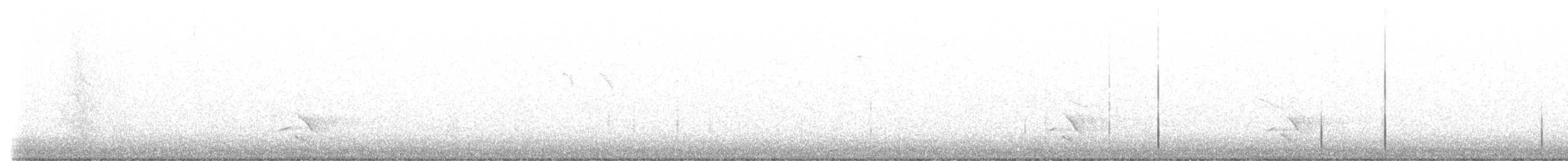 svartspett - ML498007451