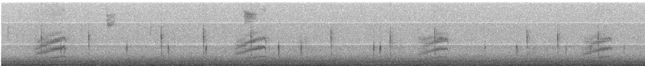 Spotted Towhee - ML498036351