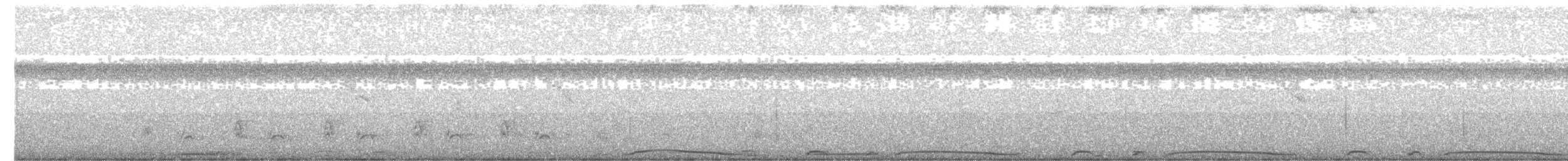 holub neotropický - ML498068281