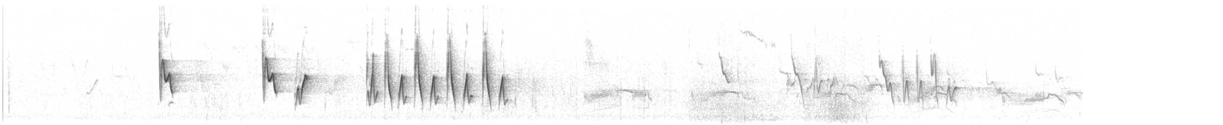 Широкохвістка середземноморська - ML498107091