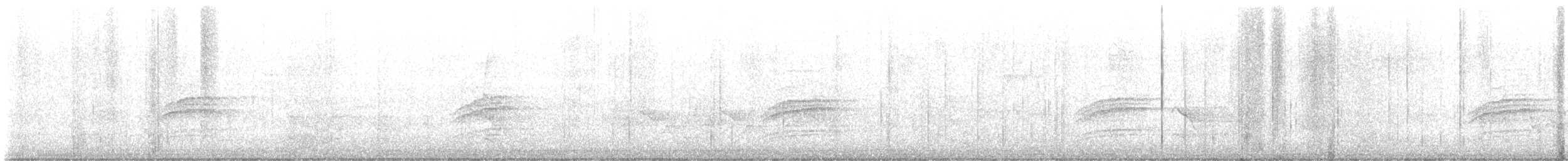 Hermit Thrush - ML498112871