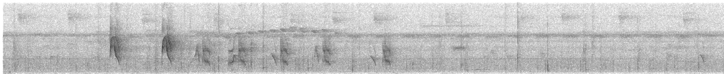 Bauchflecken-Ameisenvogel - ML498113151