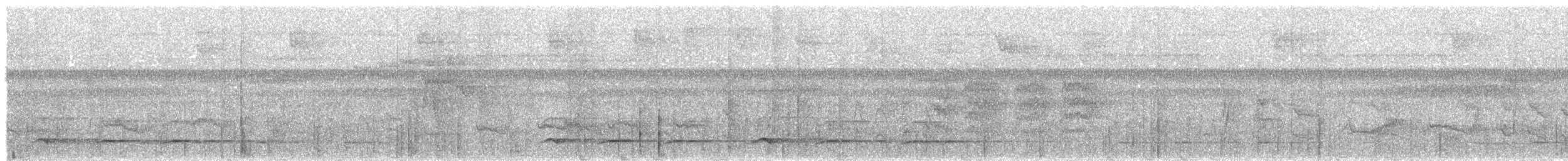 Bauchflecken-Ameisenvogel - ML498113161
