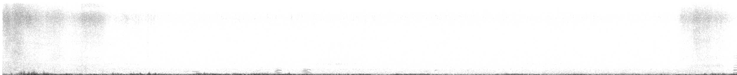 labuť malá (ssp. columbianus) - ML498130041