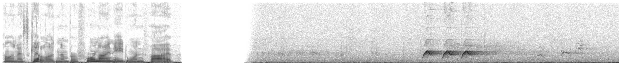 Чёрный бубу (fuelleborni) - ML49815