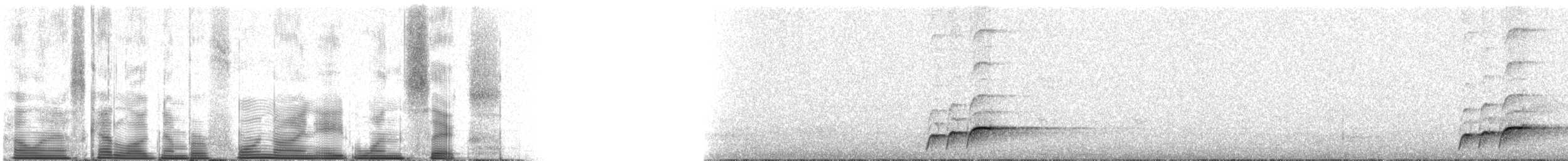 Гонолек східний (підвид fuelleborni) - ML49816